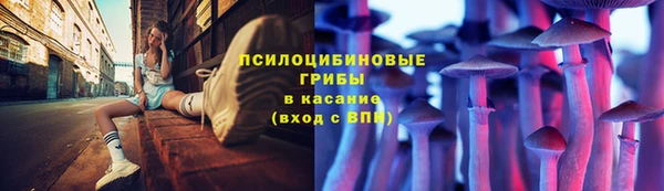 мдпв Володарск