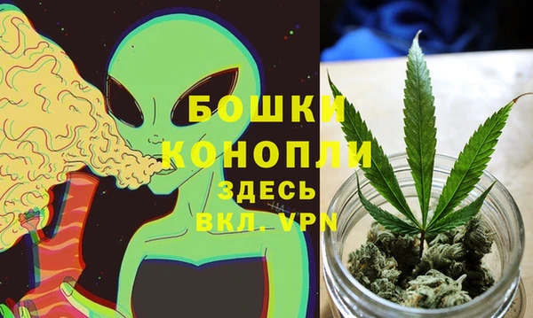 мдпв Володарск