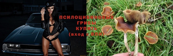 мдпв Володарск