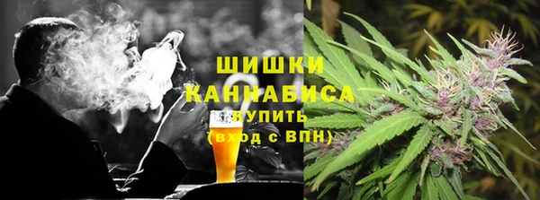 мдпв Володарск