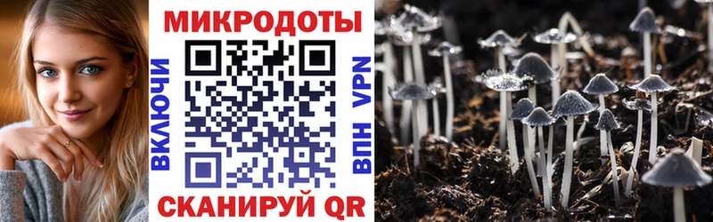 наркошоп  Майкоп  Псилоцибиновые грибы MAGIC MUSHROOMS 